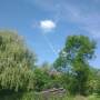 img_20250531_104833159.jpg