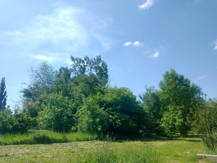 img_20250531_104841656_hdr.jpg